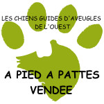 Image de A PIED A PATTES, CHIENS GUIDES D’AVEUGLES DE VENDEE